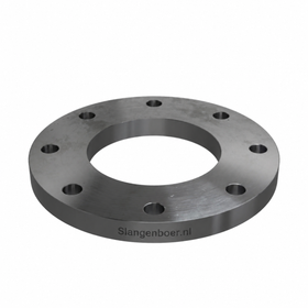 Vlakke lasflens EN1092-1/01A P250GH PN10-16 